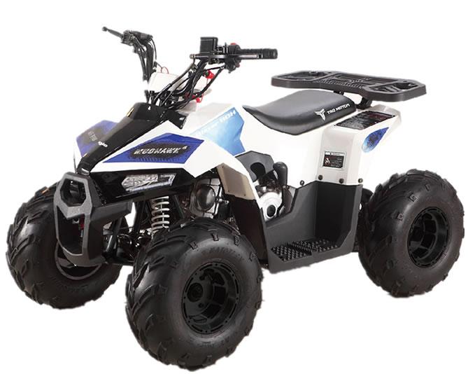 110H ATV