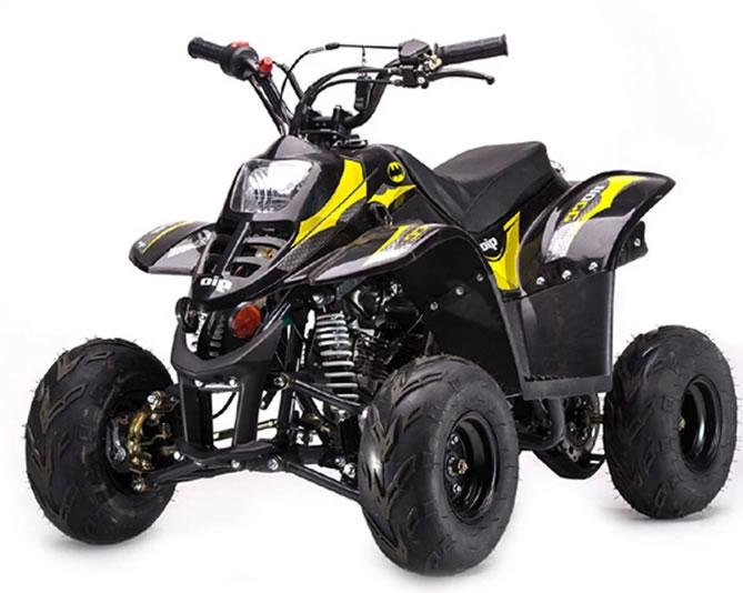 110P ATV