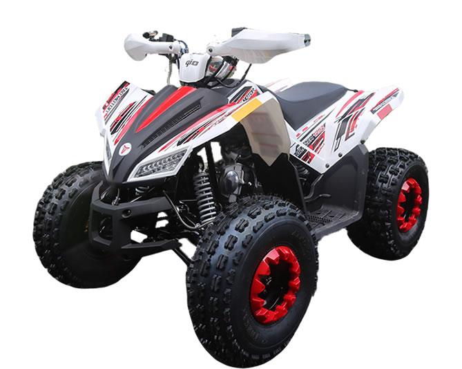 110H ATV
