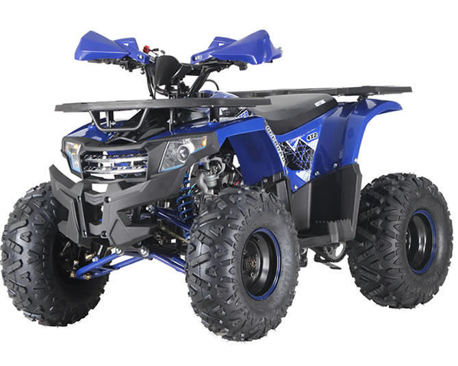 110P ATV